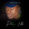 Phathizwe Ntuli - Imbodla